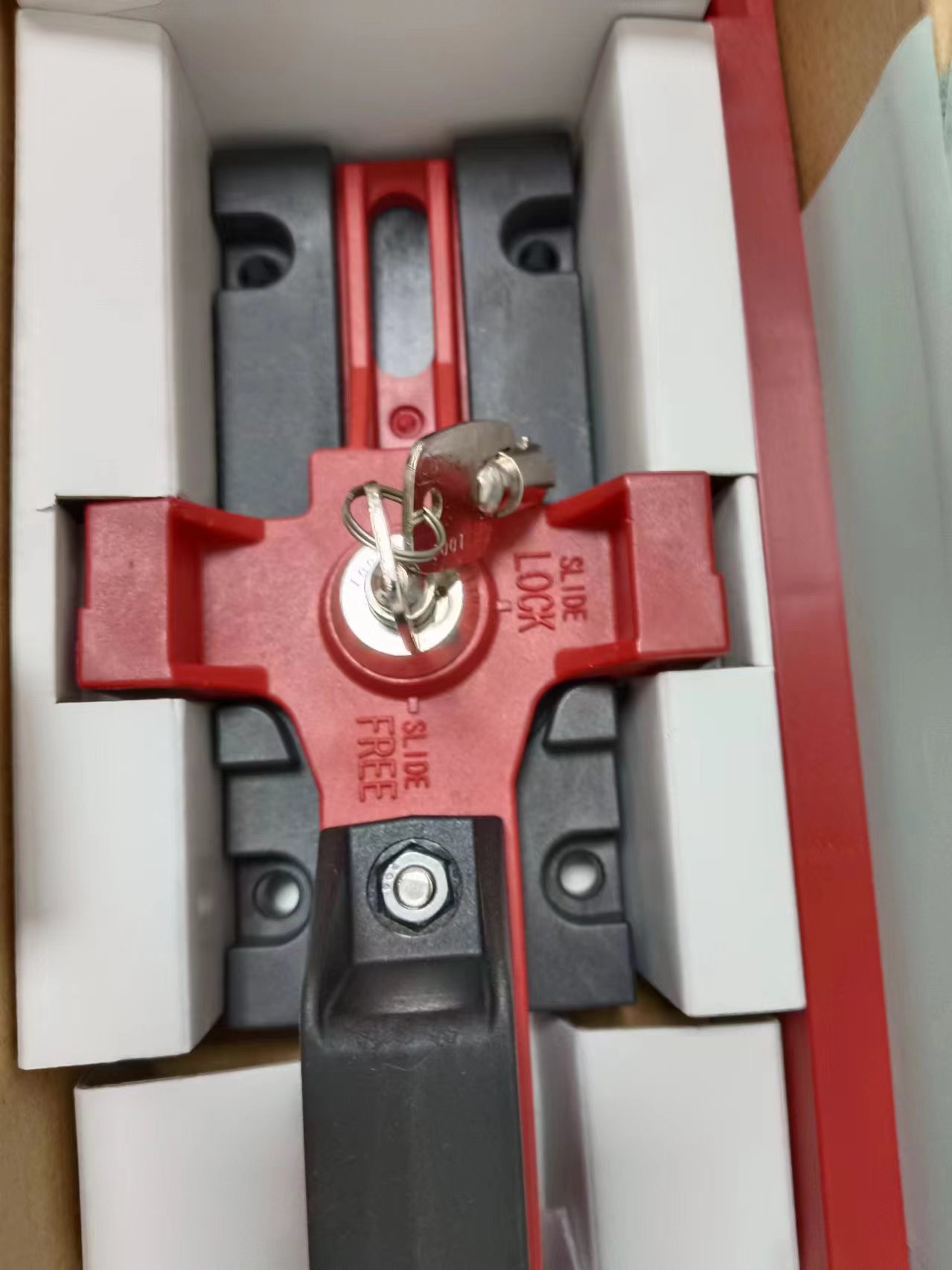 OMRON欧姆龙小型电磁锁定安全门开关D4SLNSK10-LK