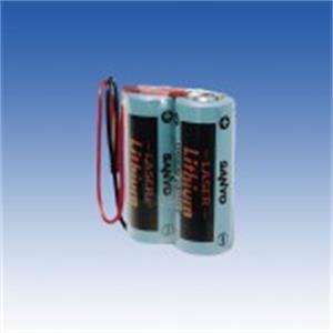 日本原装TAKEX竹中 专用锂电池 2CR17450E-R（K）-CH1