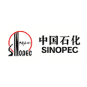 中国石化股份有限公司九江分公司
