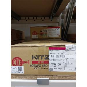 KITZ北泽 不锈钢球形止回阀 10UFTE65