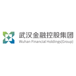 武汉金融控股(集团)有限公司