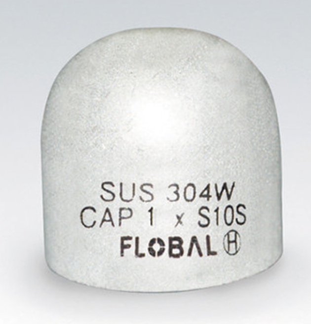 FLOBAL福禄伯乐不锈钢焊接接头B-CA-10S-4”