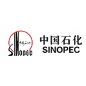 中石化石油化工科学研究院有限公司