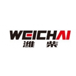 潍柴控股集团有限公司