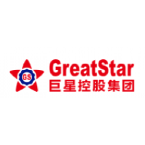 巨星控股集团有限公司