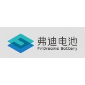 重庆弗迪锂电池有限公司