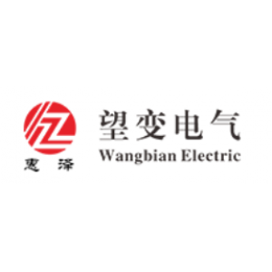 重庆望变电气（集团）股份有限公司