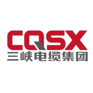 重庆三峡电缆集团有限公司