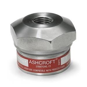 ASHCROFT雅斯科迷你型螺纹隔膜310