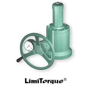 NIPPON GEAR日本齿轮阀门执行器W 系列