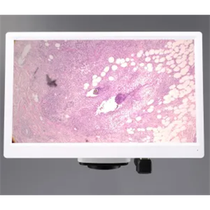 日本原装MEIJI明治 全高清 C 卡口相机