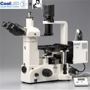 日本原装MEIJI明治 带大功率 LED 照明的倒置荧光显微镜TC5600L/PE-300LITE