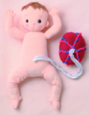 日本NITTO KAGAKU日陶科学 宝贝 眼神交流类型