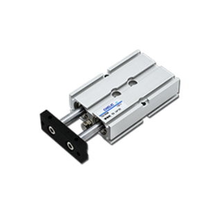 台湾CHELIC气立可 双轴气缸(附金属刮尘环) TDW系列