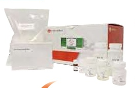 ASH理化制作所 核酸纯化试剂盒 08215-96