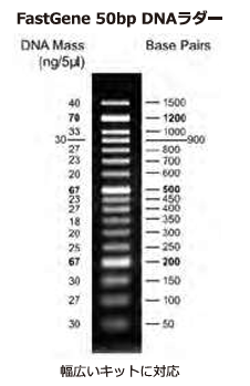 ASH理化制作所 试剂 49881-60