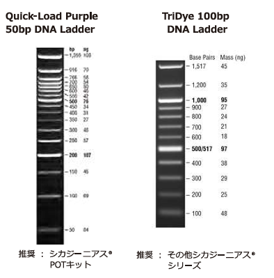 ASH理化制作所 试剂 01098-79