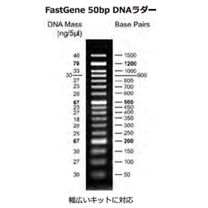 ASH理化制作所 试剂 49881-60