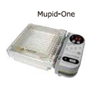 ASH理化制作所 电泳槽 49904-37