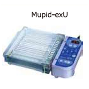 ASH理化制作所 电泳槽 49904-01