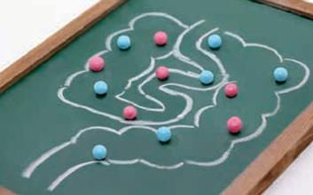 ASH理化制作所 培养基 717708-1