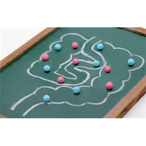 ASH理化制作所 腸内細菌科菌群 710001-4