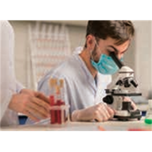 ASH理化制作所 绿脓杆菌 710000-5