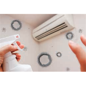 ASH理化制作所 乳酸菌 07033-62