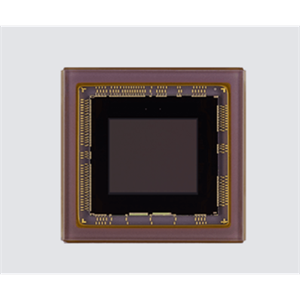 日本sony索尼 图像传感器 IMX253MYR