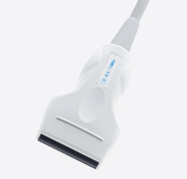 HONDA本多兽医超声成像系统配置探头HLS-594M