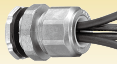 日本Sankei三桂 连接器 C2MBG20-6X4P-22